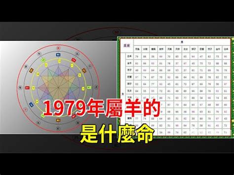 1979年五行屬什麼|1979年出生的屬羊人一生的命運，慶幸看了！